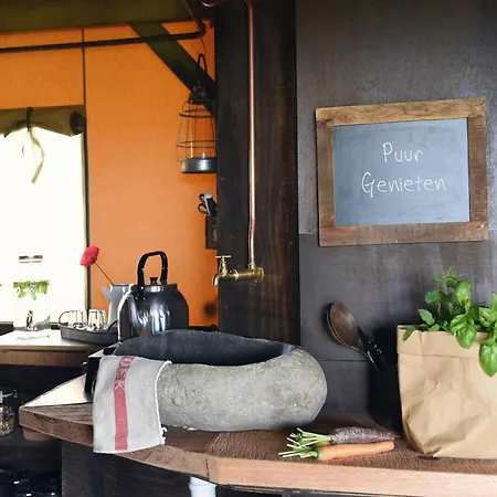 Near The Sea * Callantsoog